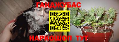 COCAINE Бердск