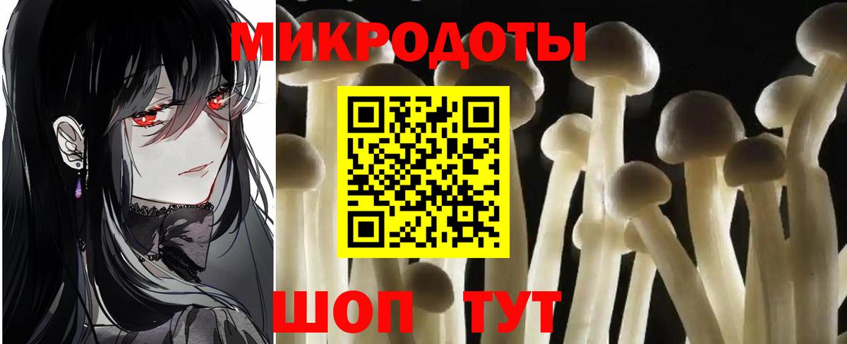 Галлюциногенные грибы Psilocybe  Вход с VPN  Астрахань 