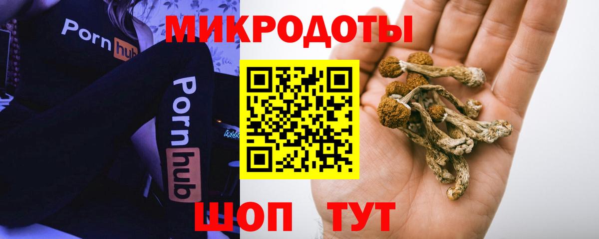 Галлюциногенные грибы MAGIC MUSHROOMS Астрахань